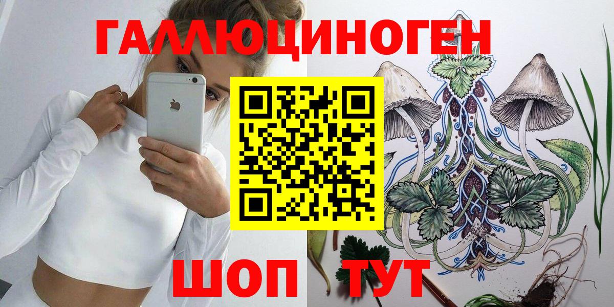 Псилоцибиновые грибы Psilocybine cubensis  что такое   Вход с VPN  Зима  Псилоцибиновые грибы мицелий 