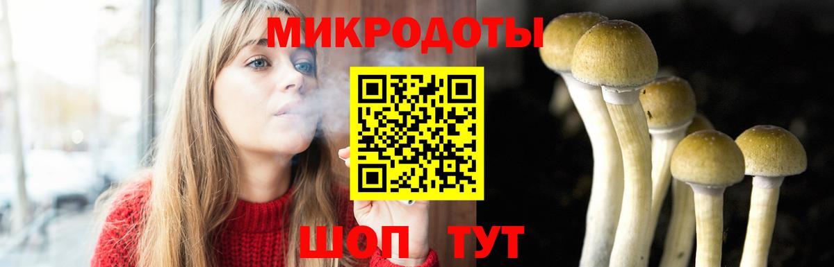 Псилоцибиновые грибы Magic Shrooms Зима