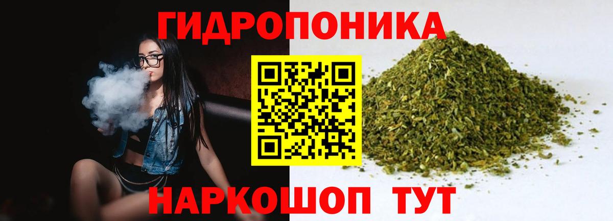 Каннабис конопля  МАРИХУАНА планчик  Зима  Вход с VPN  Канабис индика  Шишки марихуана SATIVA & INDICA 